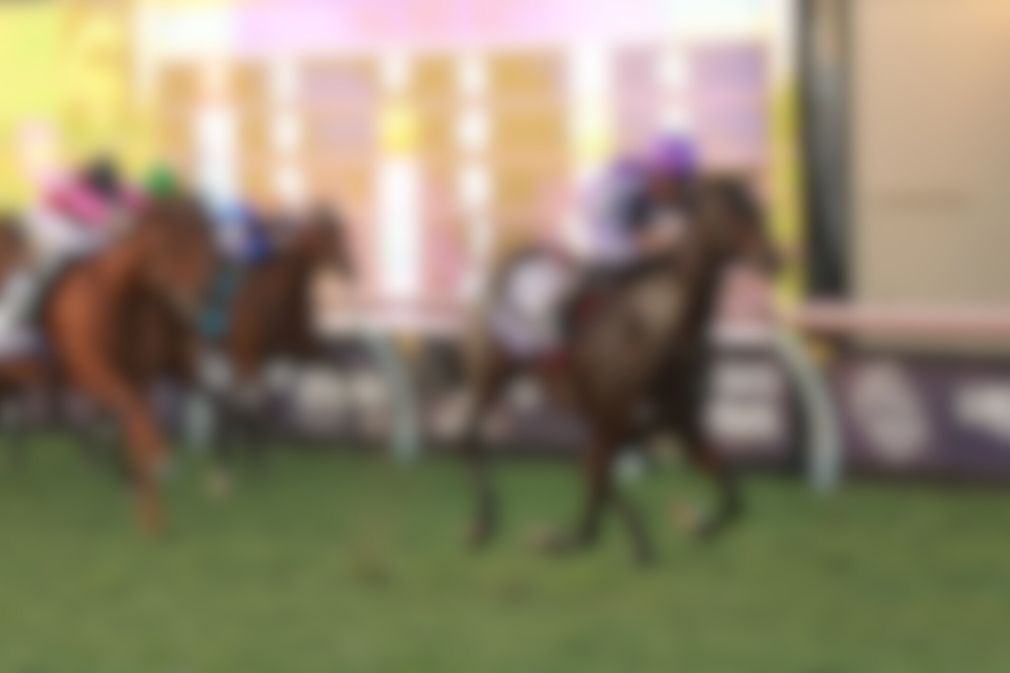 Gstaad winning the Breeders' Cup Juvenile Turf (G1) at Del Mar