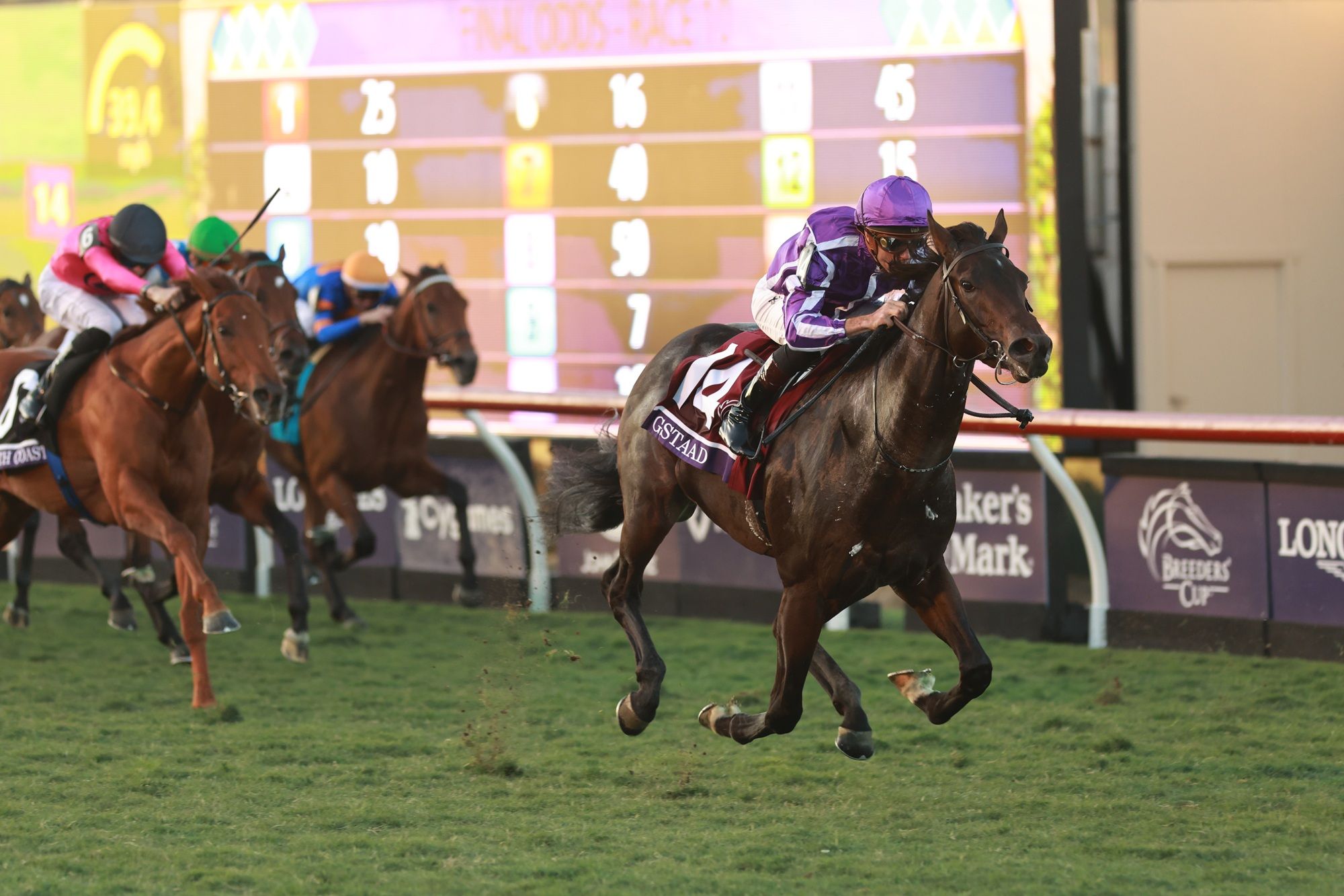 Gstaad winning the Breeders' Cup Juvenile Turf (G1) at Del Mar