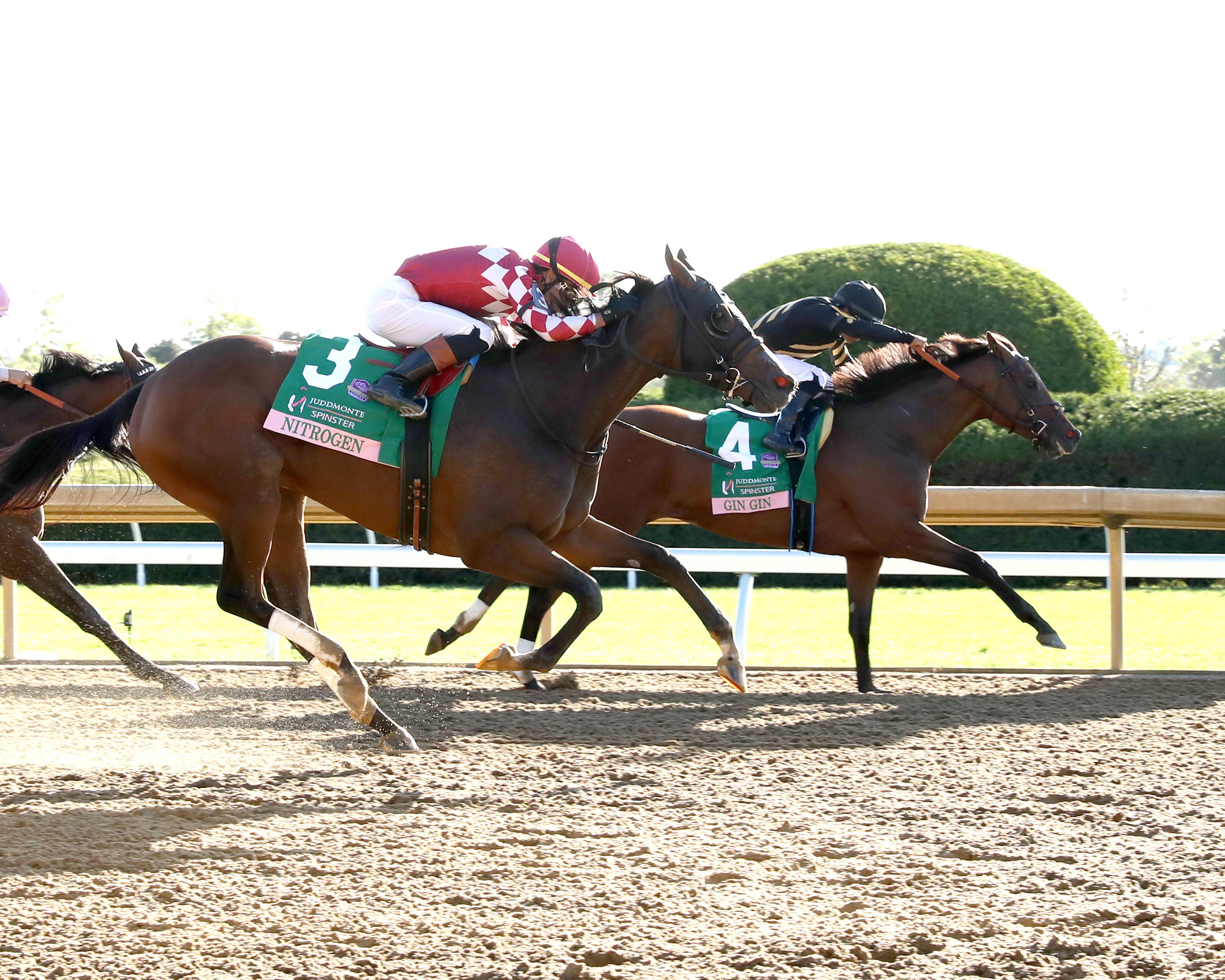 Gin Gin winning the Spinster (G1) at Keeneland