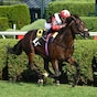 British invader Glacius wires Saratoga Derby