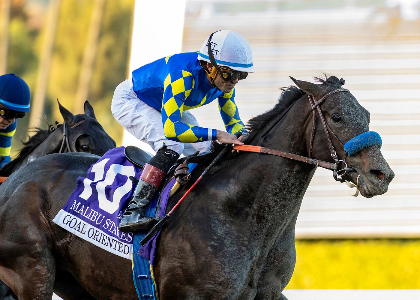 Goal Oriented rolled past Midland Money in an all-Baffert exacta in the Malibu (G1)