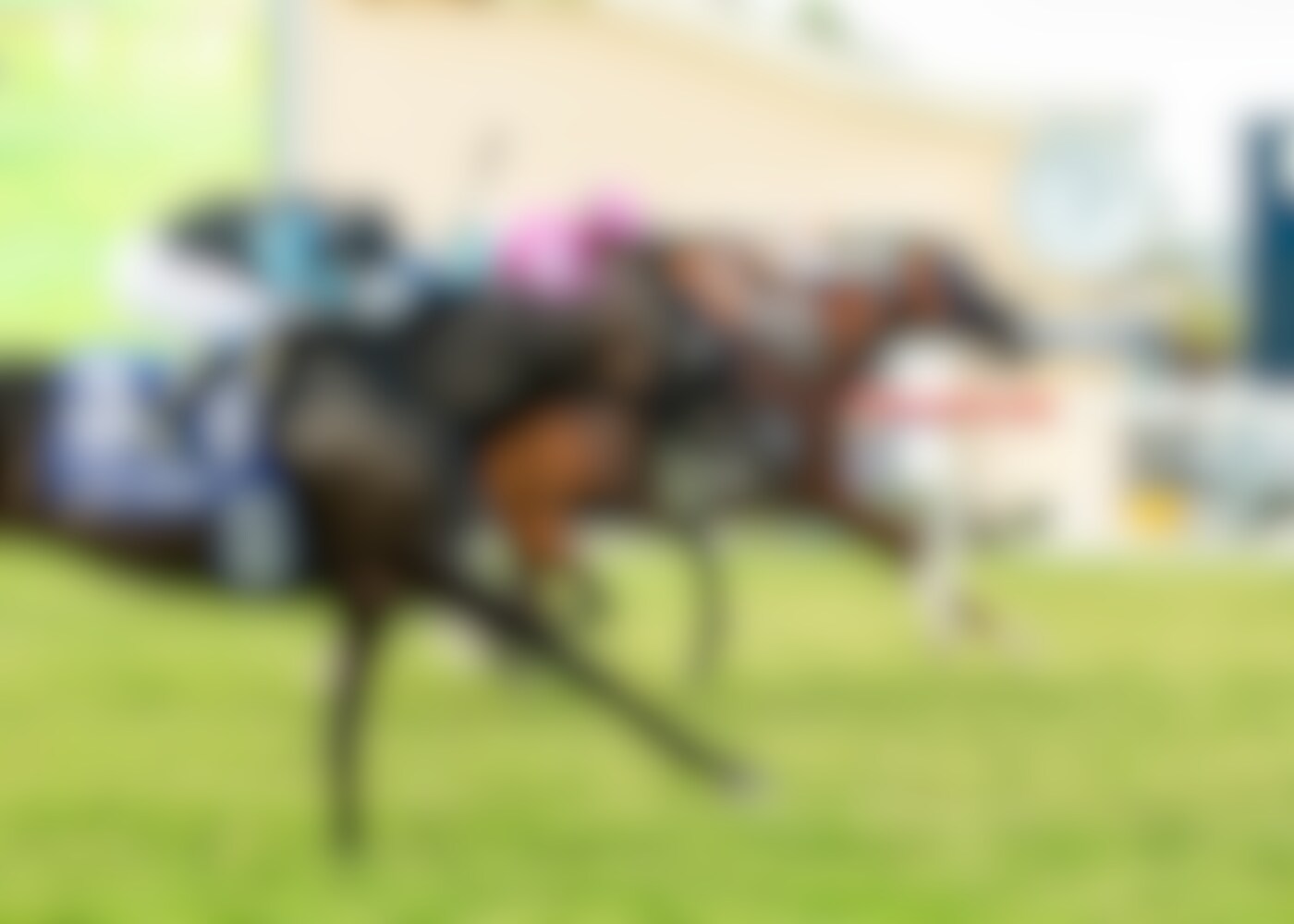 Gold Phoenix edges Cabo Spirit and Formidable Man in the Eddie Read (G2) at Del Mar