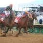 Get to know the 2026 Belmont Stakes Contenders