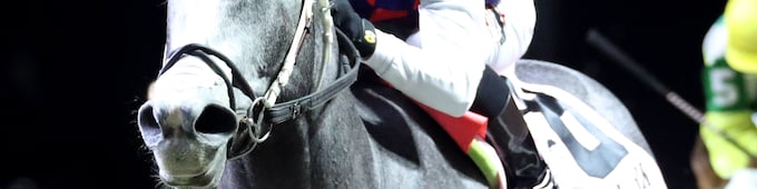 Great White capsizes favorites in John Battaglia Memorial