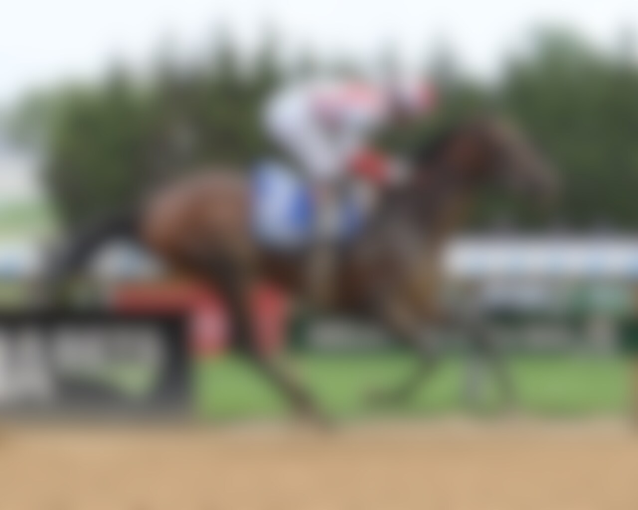 Growth Equity wins the Peter Pan at Belmont at the Big A. 
