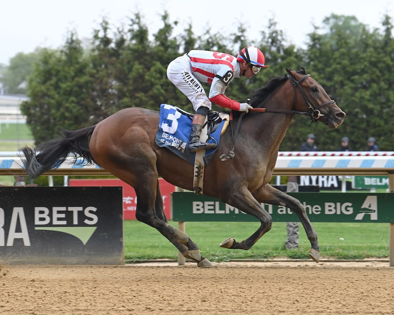 Growth Equity wins the Peter Pan at Belmont at the Big A.