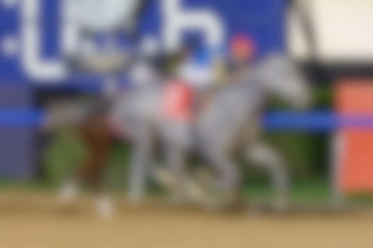 Hit Show wins the 2025 Dubai World Cup (G1) at Meydan