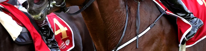 Hotazhell upsets Irish Champion; Blue Bolt strikes again in Matron