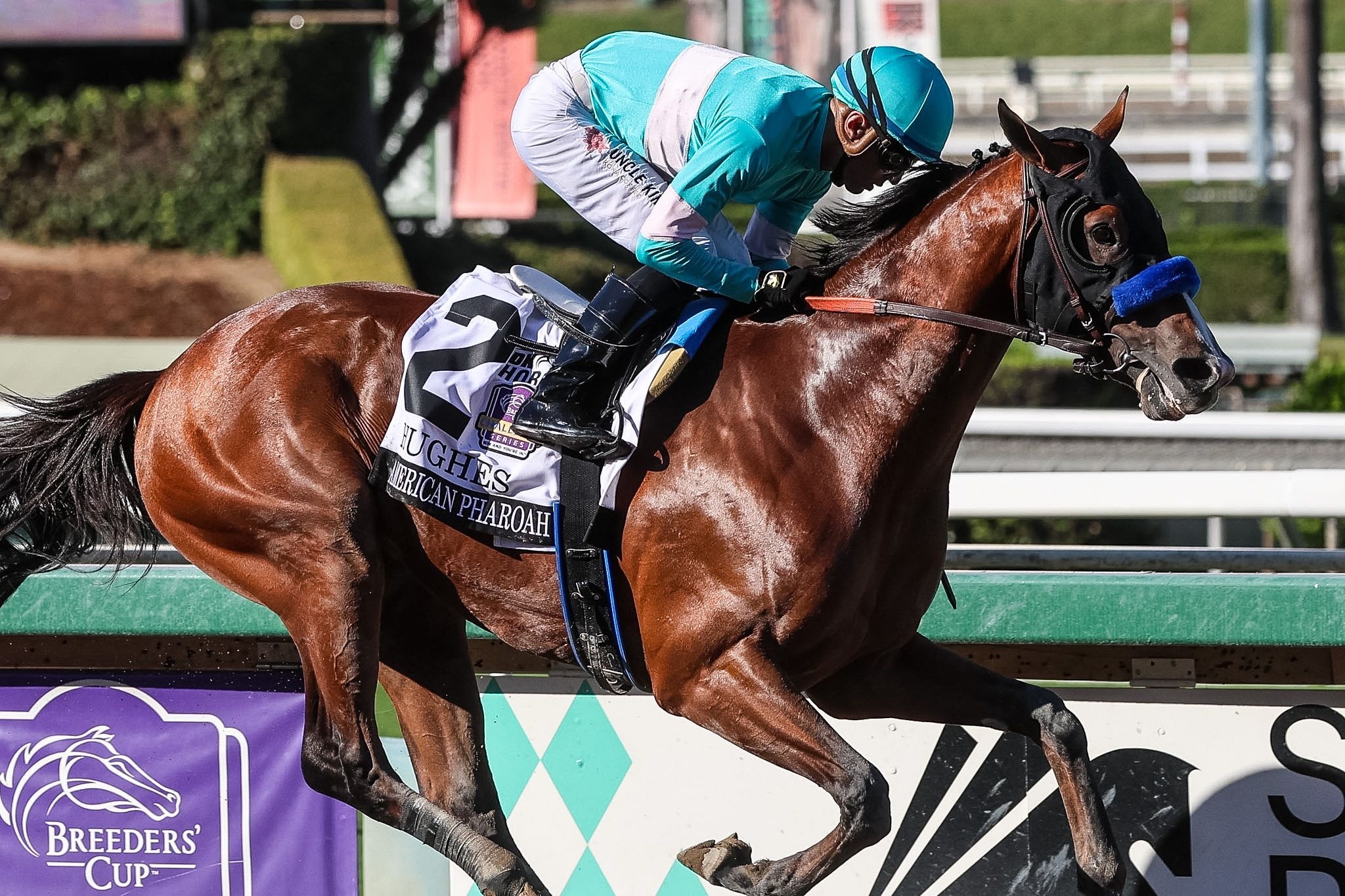 Hughes impresses on stretch-out in American Pharoah
