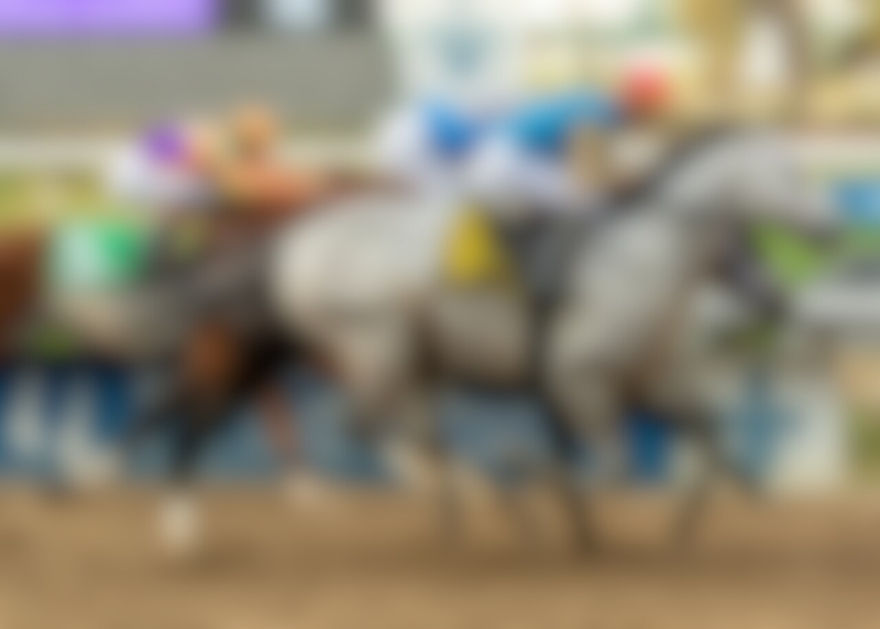 Hit Show wins the Mineshaft Stakes at Fair Grounds