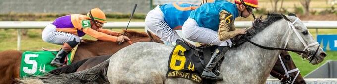 Return trip to Dubai on tap for Hit Show after Mineshaft win