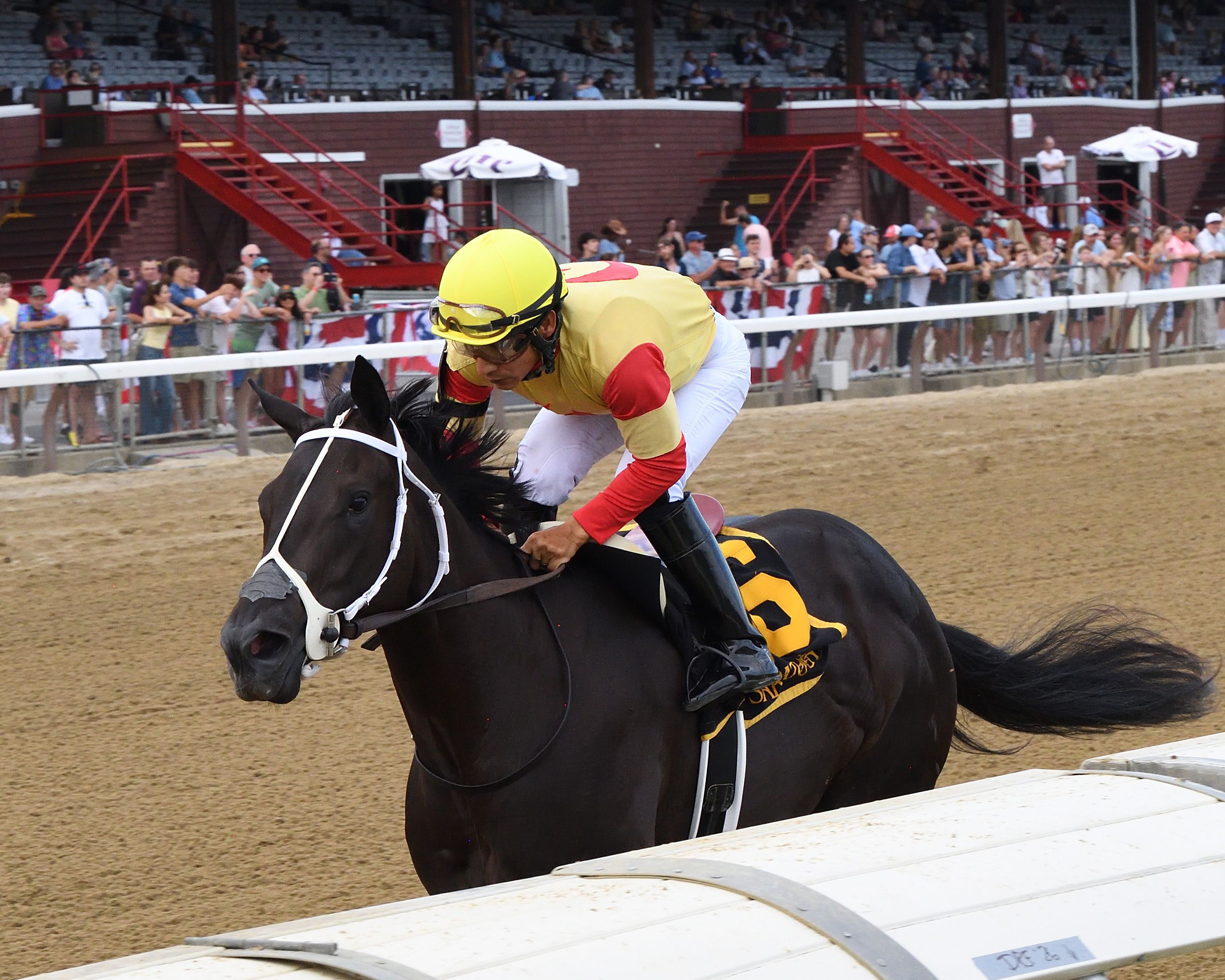 Harper's Corner dominated the Schuylerville S. to become the first stakes winner for freshman sire Speaker's Corner