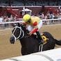 Breeders' Cup bid up for grabs in Spinaway