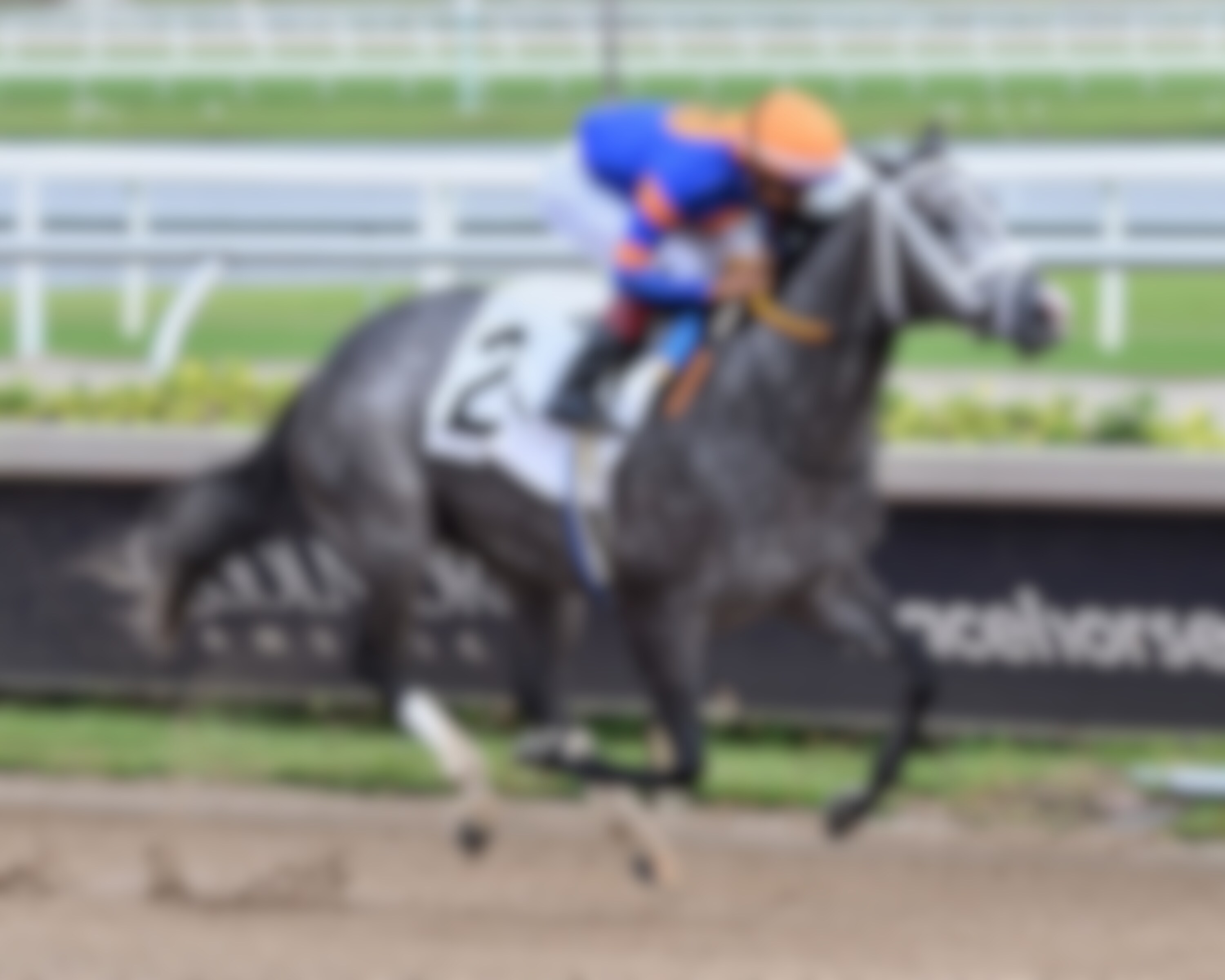 Haulin Ice wins the Princess Rooney at Gulfstream Park. 