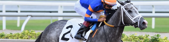 Haulin Ice wires BC WAYI Princess Rooney