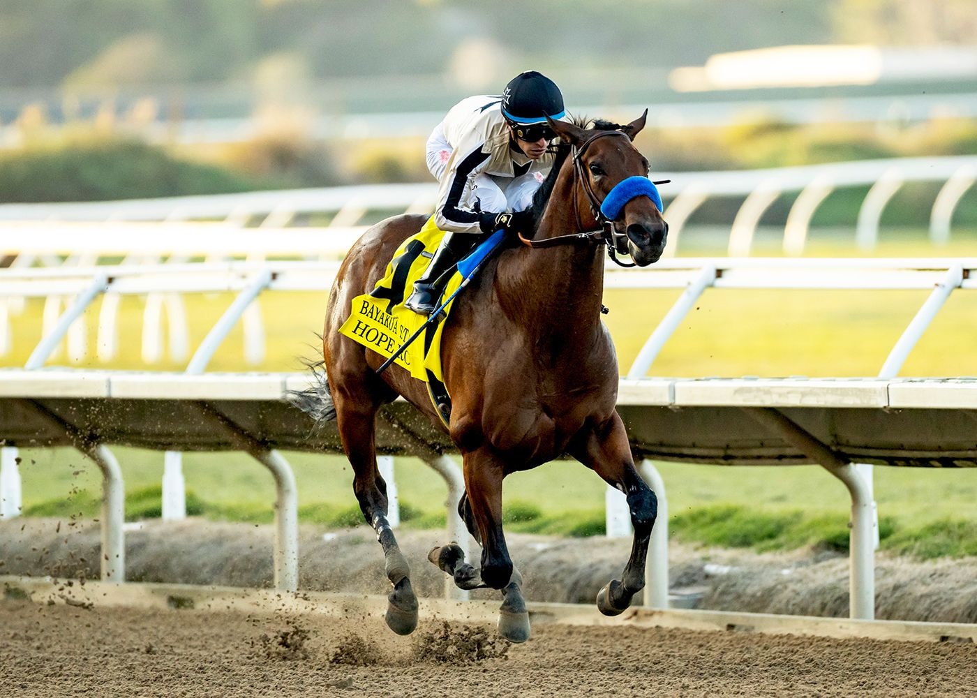 Hope Road romped in her Bayakoa (G3) title defense