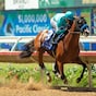 Hughes a class apart for Baffert in Best Pal