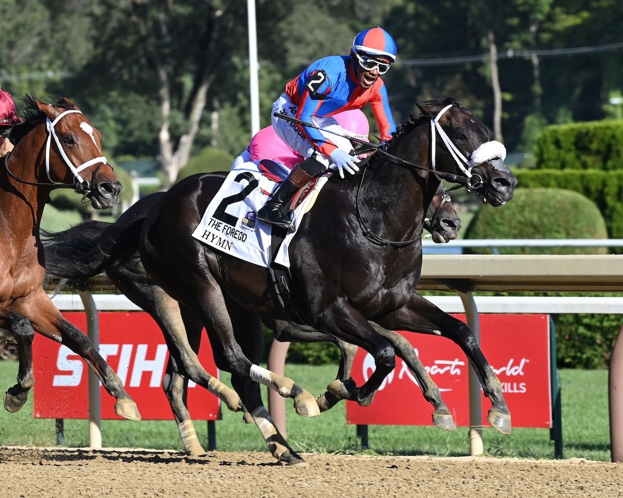 Hymn wins the Forego Stakes at Saratoga.