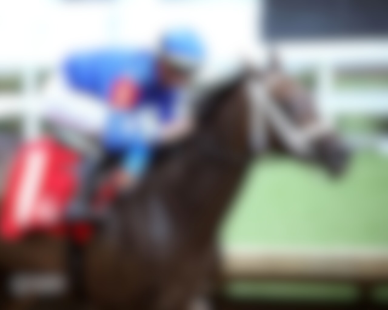 Immersive wins the Seneca Overnight Stakes at Churchill Downs. 