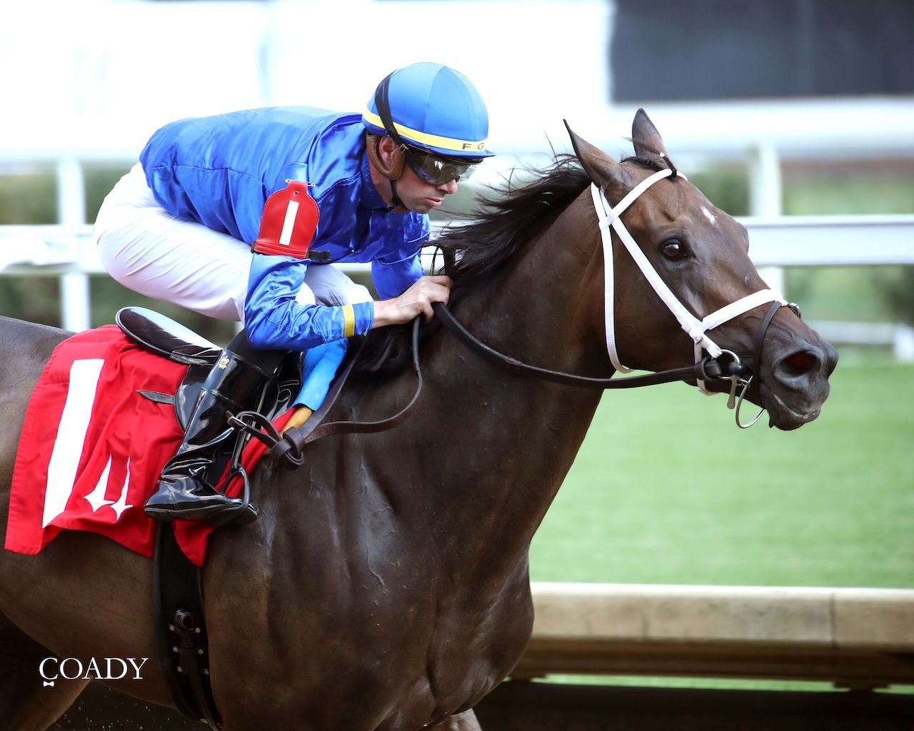 Immersive wins the Seneca Overnight Stakes at Churchill Downs.