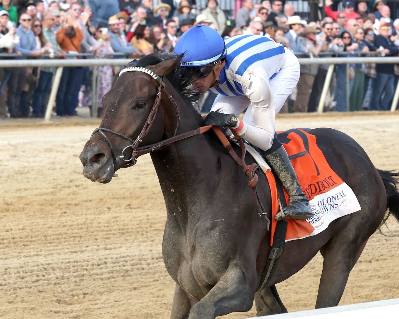 Incredibolt wins the Virginia Derby at Colonial Downs.