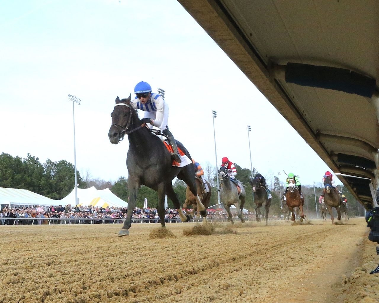Incredibolt, Bottle of Rouge star at Colonial Downs