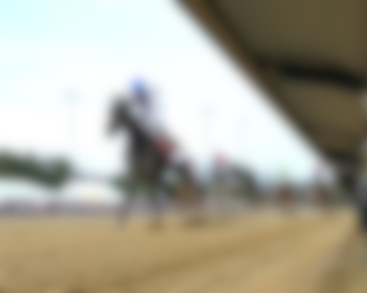 Incredibolt wins the Virginia Derby at Colonial Downs. 