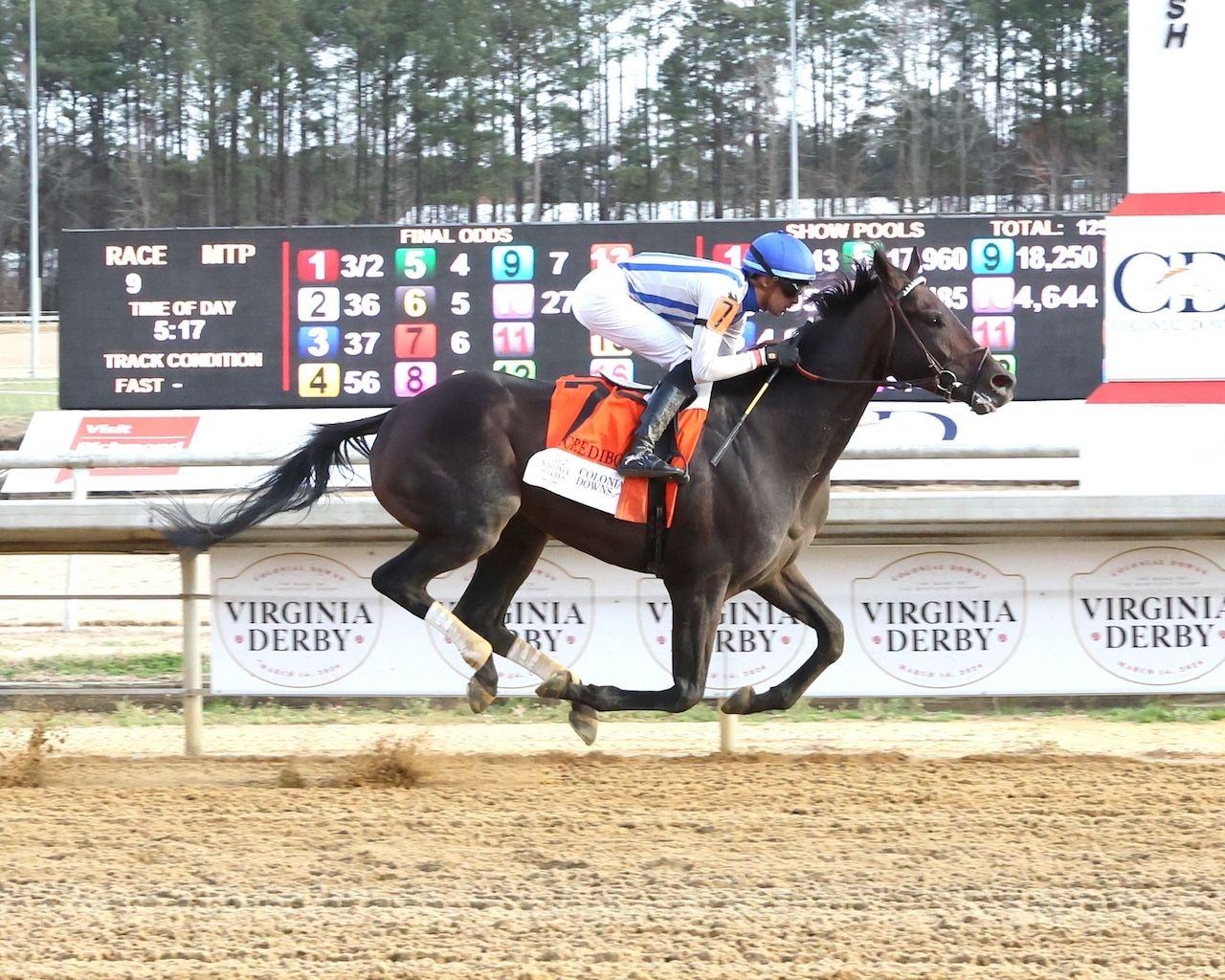Incredibolt wins the Virginia Derby at Colonial Downs. 