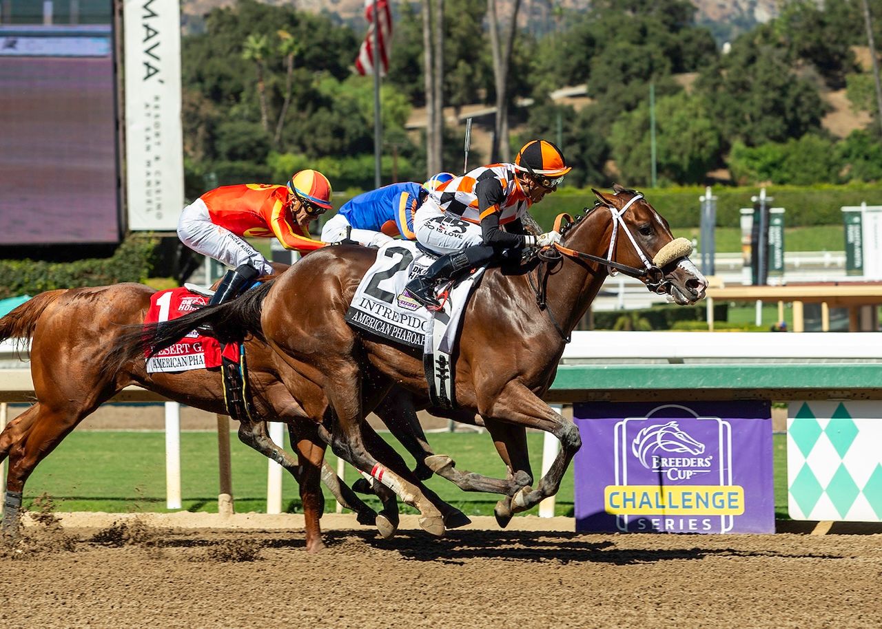Intrepido wins the American Pharoah at Santa Anita.