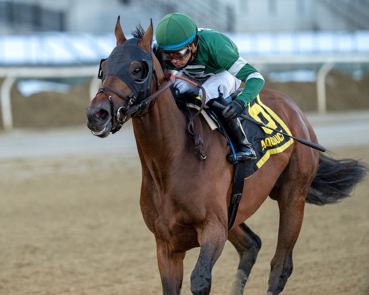 Iron Honor drawn widest in Wood Memorial