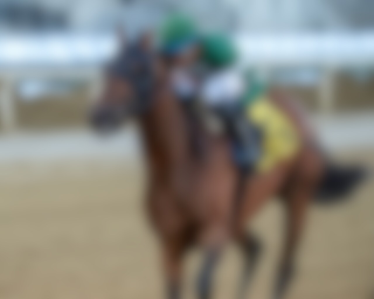 Iron Honor wins the Gotham Stakes at Aqueduct.