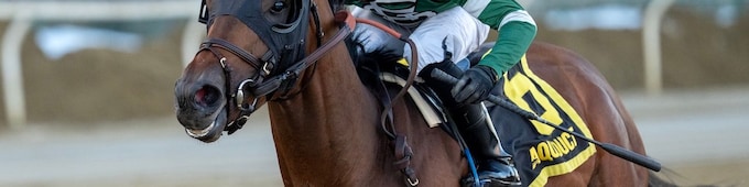 Iron Honor drawn widest in Wood Memorial