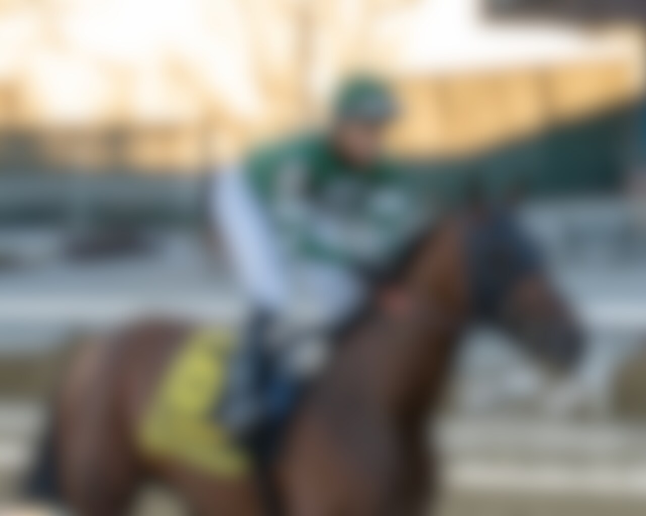 Iron Honor wins the Gotham Stakes at Aqueduct.