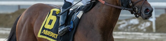 Iron Honor wears down stubborn foe in Gotham