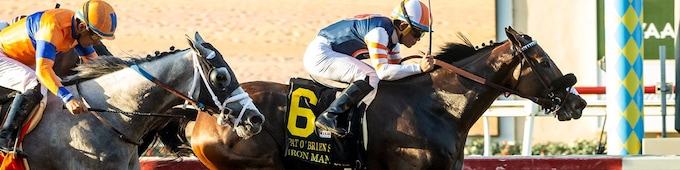 Iron Man Cal, Test Score capture BC WAYIs at Del Mar