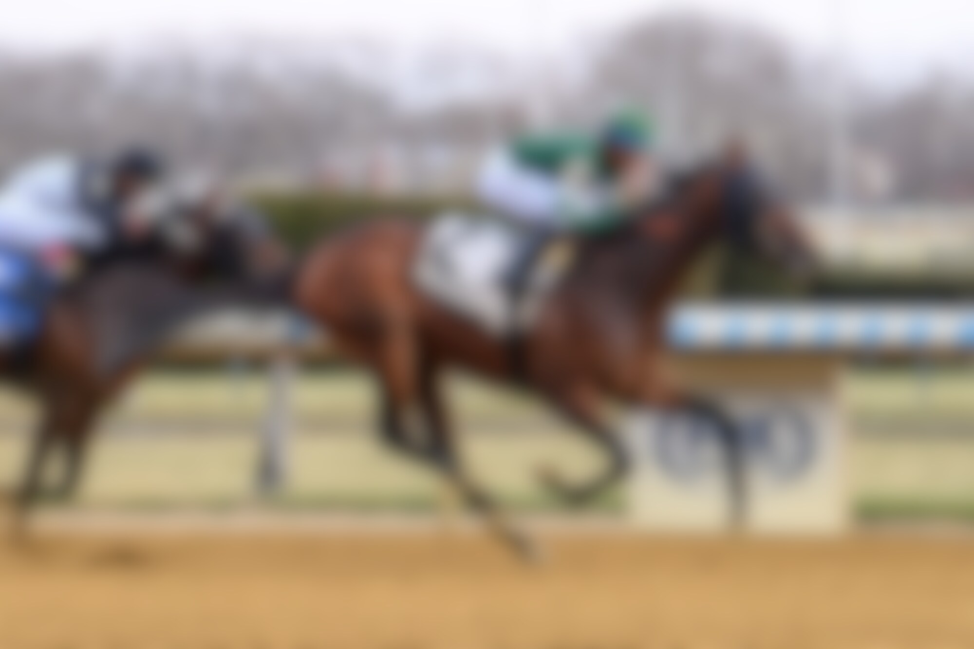 Iron Honor breaking his maiden at Aqueduct