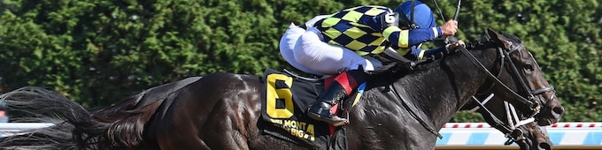 Iron Orchard wins Frizette photo; Ground Support upsets Miss Grillo