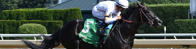 It's Our Time, a potential standout in Champagne