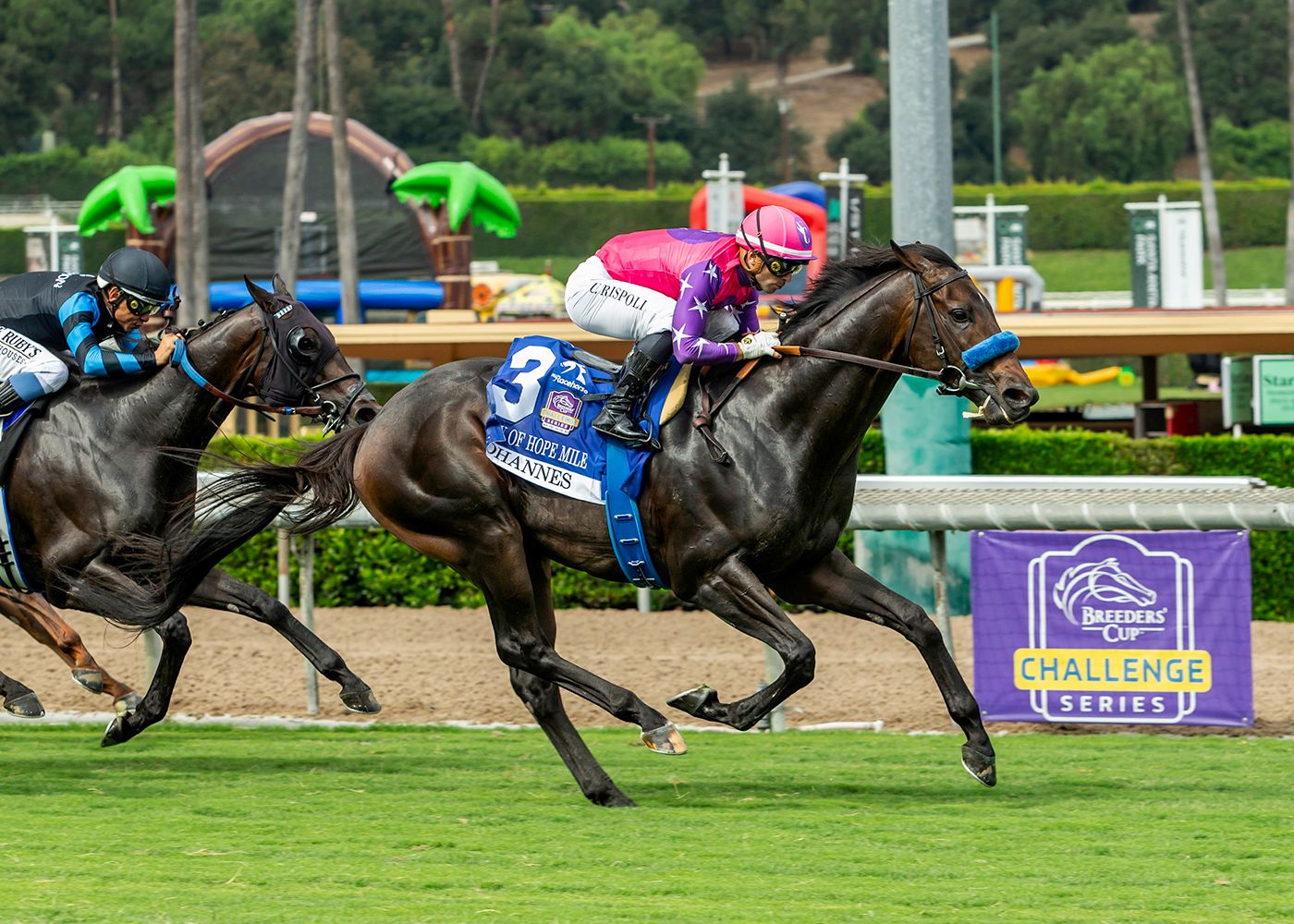 Johannes made it a perfect 8-for-8 over the Santa Anita turf when repeating in the City of Hope Mile