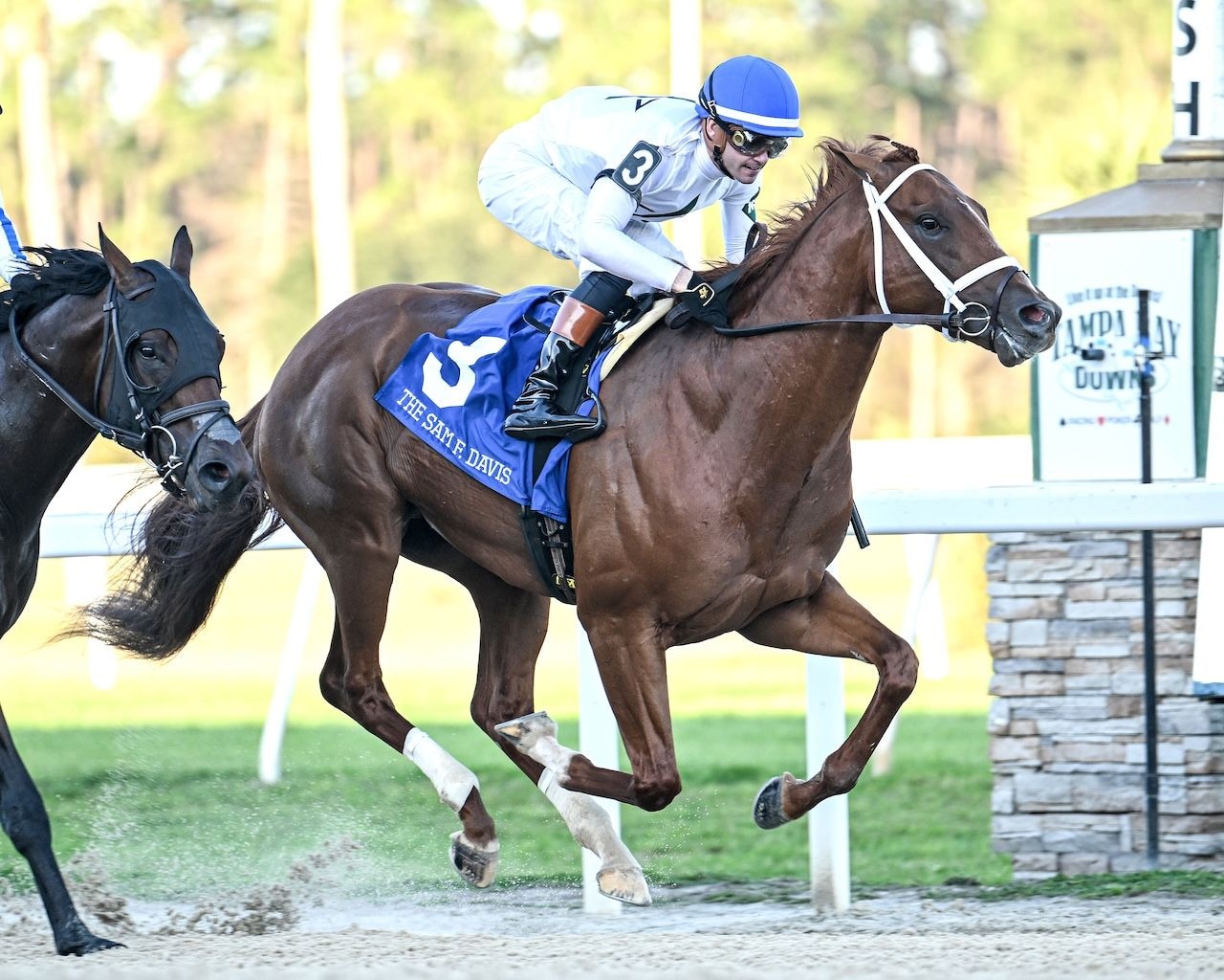 John Hancock winning the Sam F. Davis S. at Tampa Bay Downs (Photo by SV Photography)