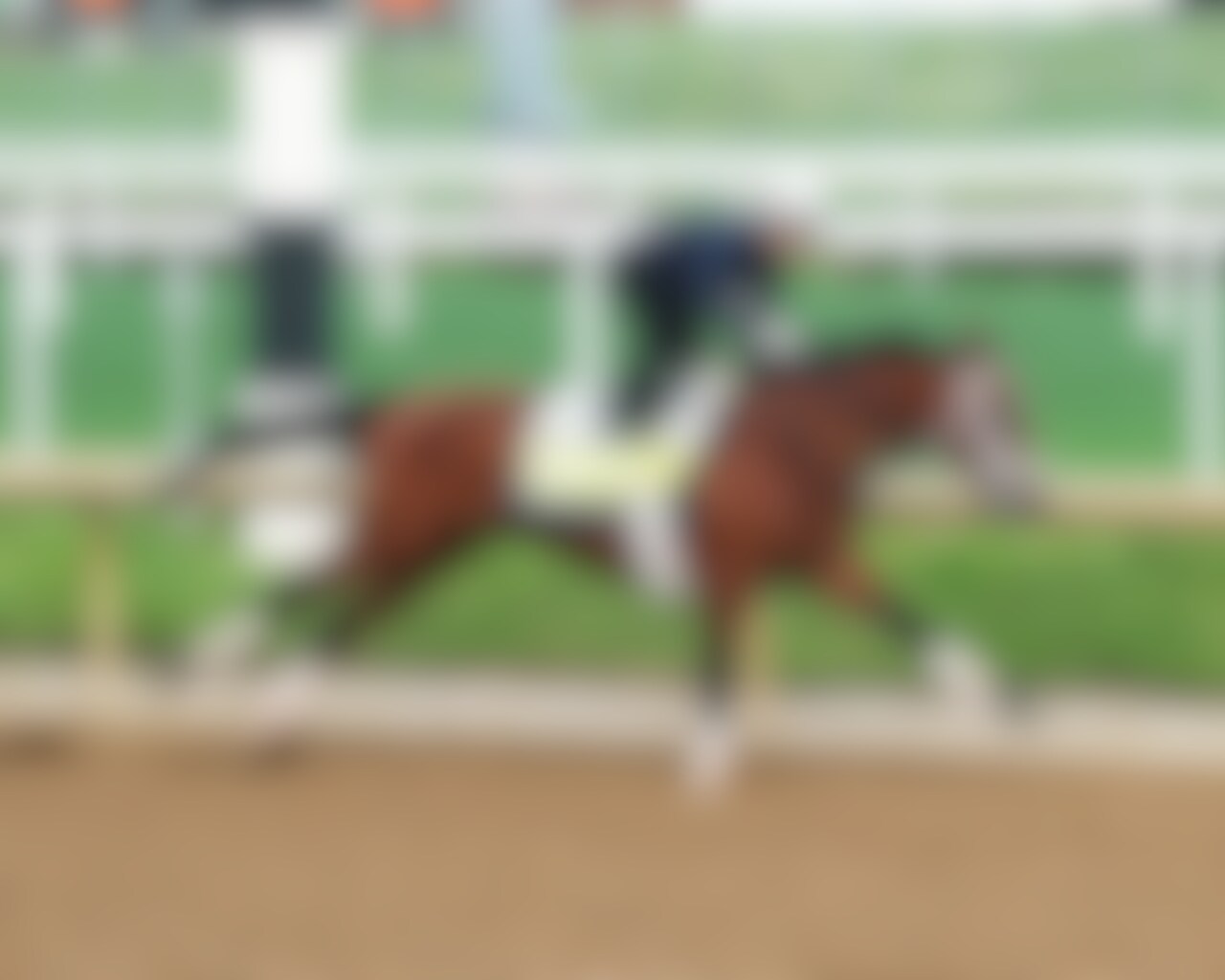 Journalism working at Churchill Downs (Photo by Coady Media)