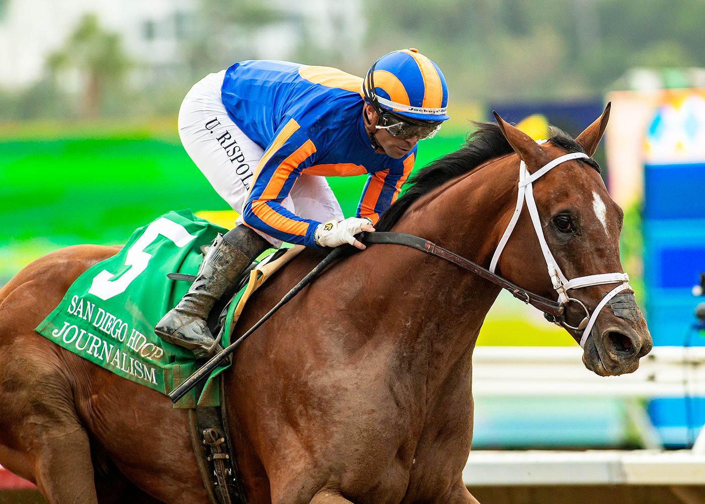 Journalism got off to a poor start but delivered a strong finish in the San Diego H. (G2)