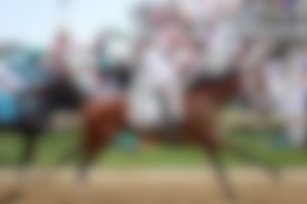 Journalism wins the 2025 Preakness Stakes 