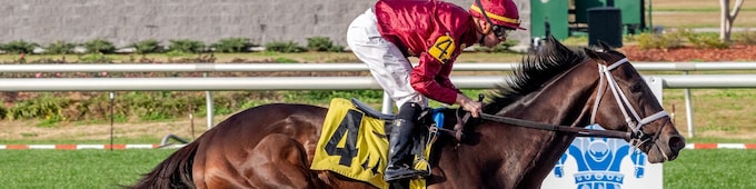 Just a Touch chases elusive first stakes win in Louisiana