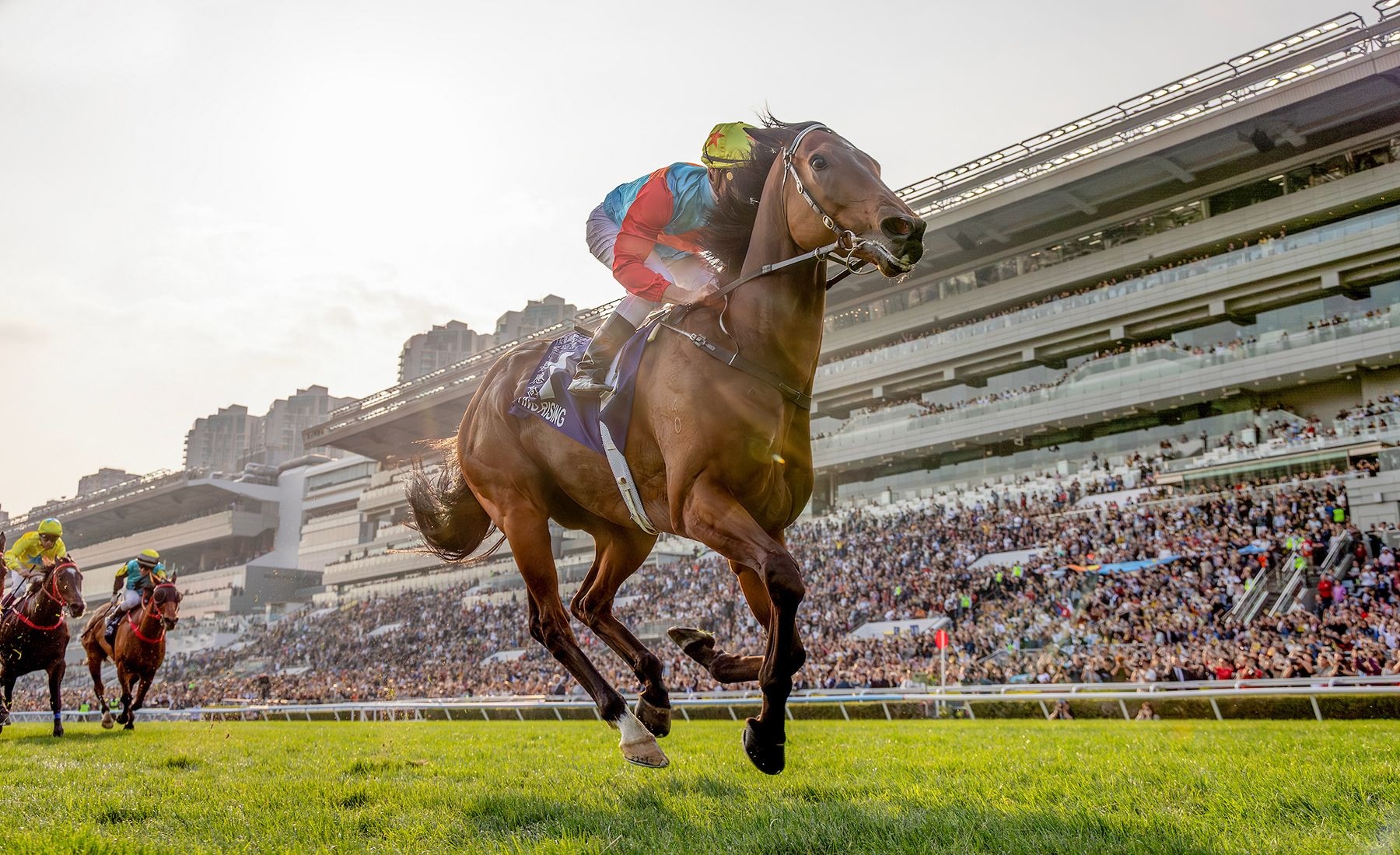 ‘Horse of a lifetime’ Ka Ying Rising romps into Hong Kong record book