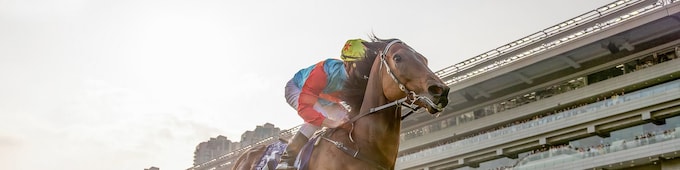 ‘Horse of a lifetime’ Ka Ying Rising romps into Hong Kong record book