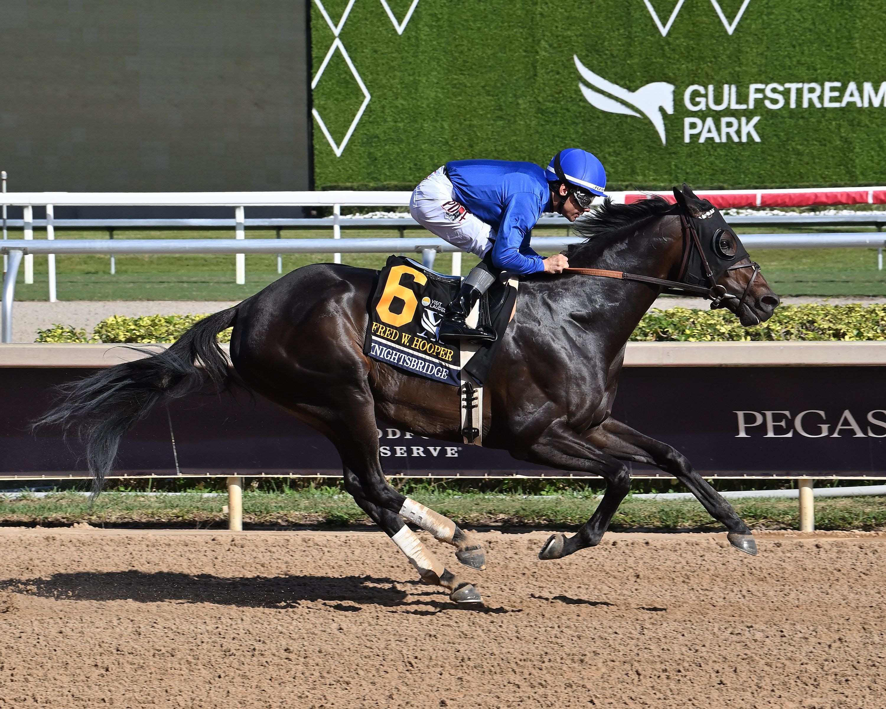 Knightsbridge, Grand Job star on Pegasus World Cup undercard