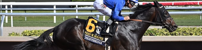 Knightsbridge, Grand Job star on Pegasus World Cup undercard