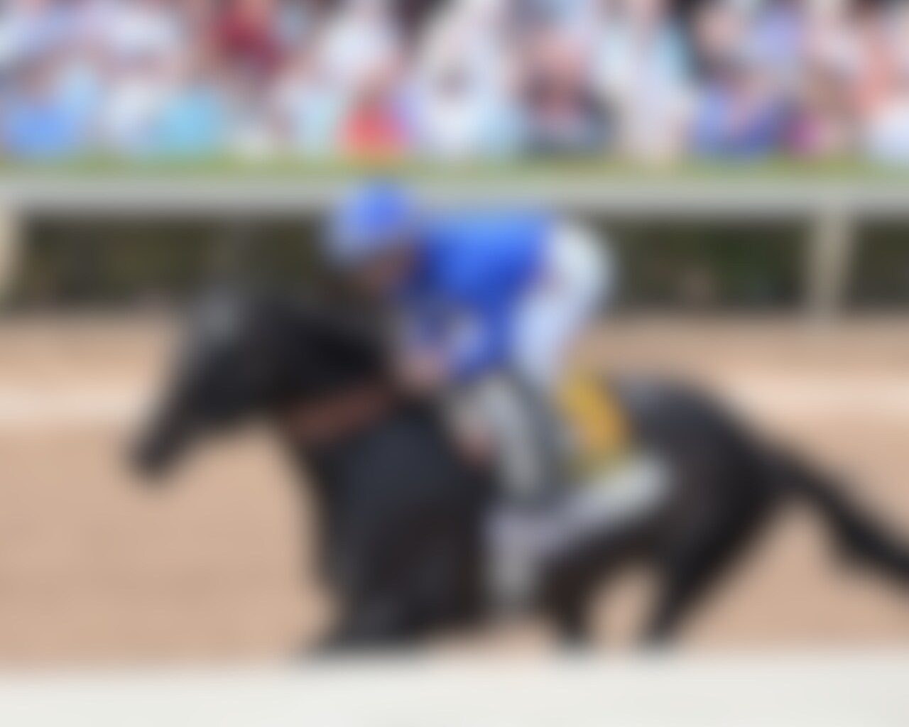 Knightsbridge wins the Gulfstream Park Mile at Gulfstream Park.