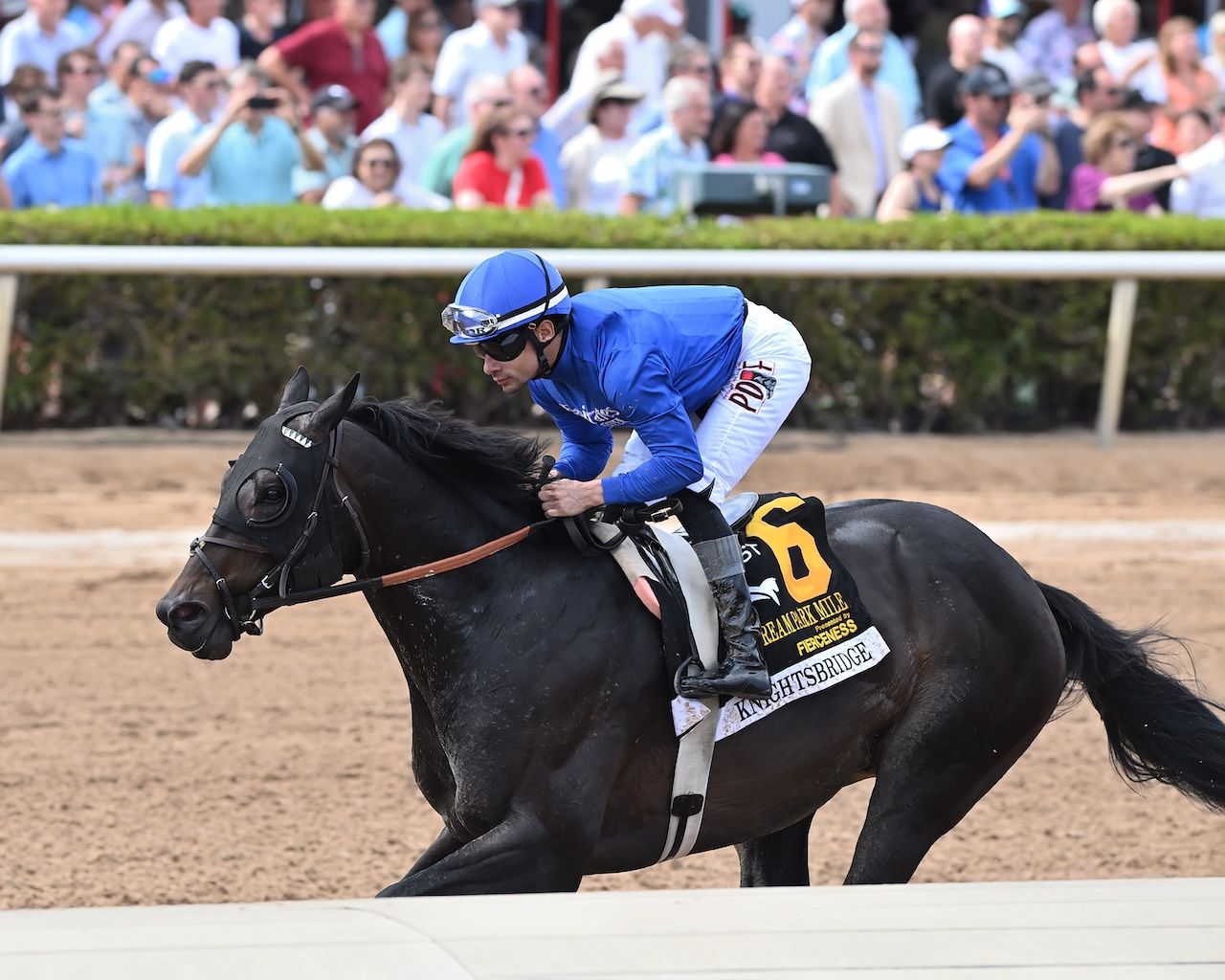 Knightsbridge wins the Gulfstream Park Mile at Gulfstream Park.